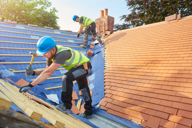 Best Roof Ventilation Installation  in Live Oak, TX